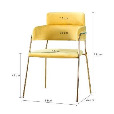 Elegant Wholesale Fashionable Velvet Dining Chair with Golden Legs