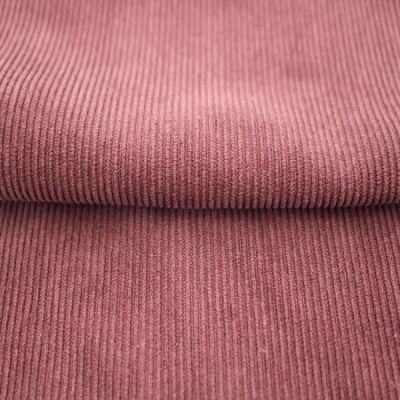 Low MOQ Polyester Bangladesh Fabric From China