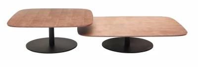 Italian Minimalist Coffee Table Metal Base Center Table