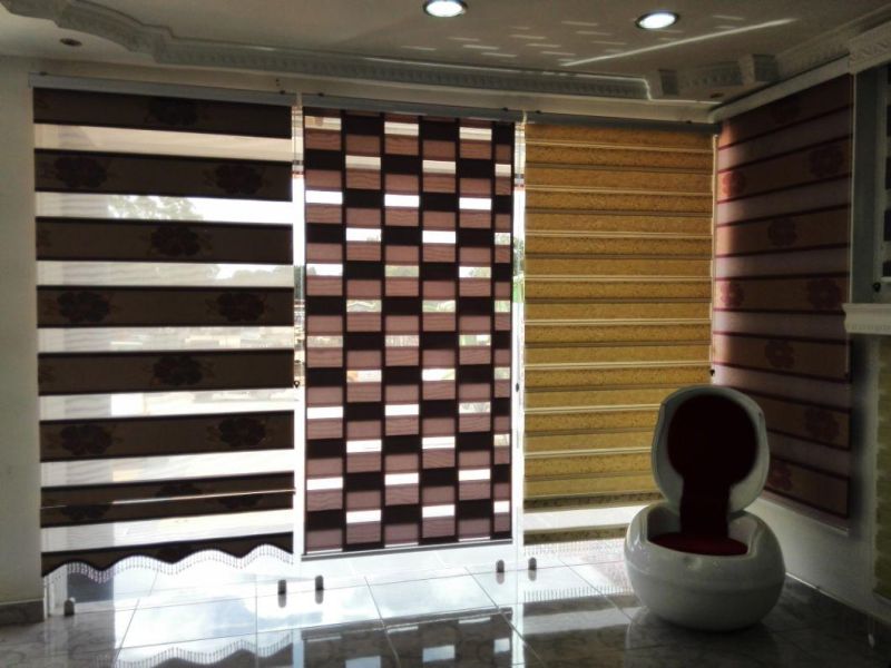 Day and Night Zebra Blinds (SGD-R-3076)