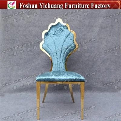 Blue Shell Back Good Design Stainless Steel Chair for Sale (YC-ZS44)