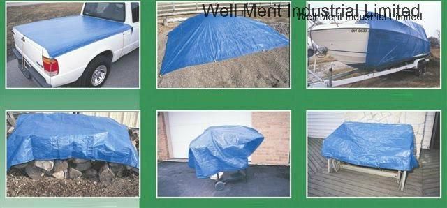 50GSM-300GSM High Quality Low Price Tents Awning PE Tarpaulin