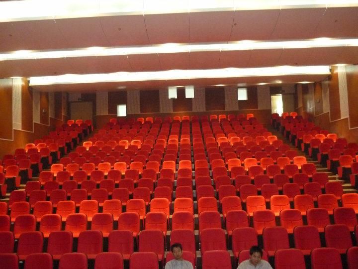 Hongji Auditorium Cinema Movie Theater Stadium Church Seating