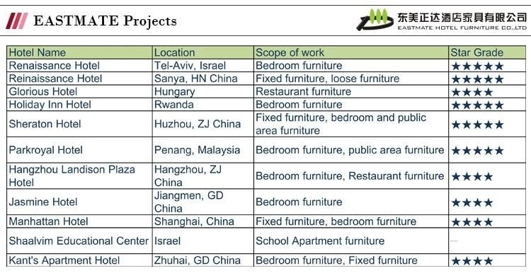 High Quality Wood Chair for Star Hotel (EMT-HC173)