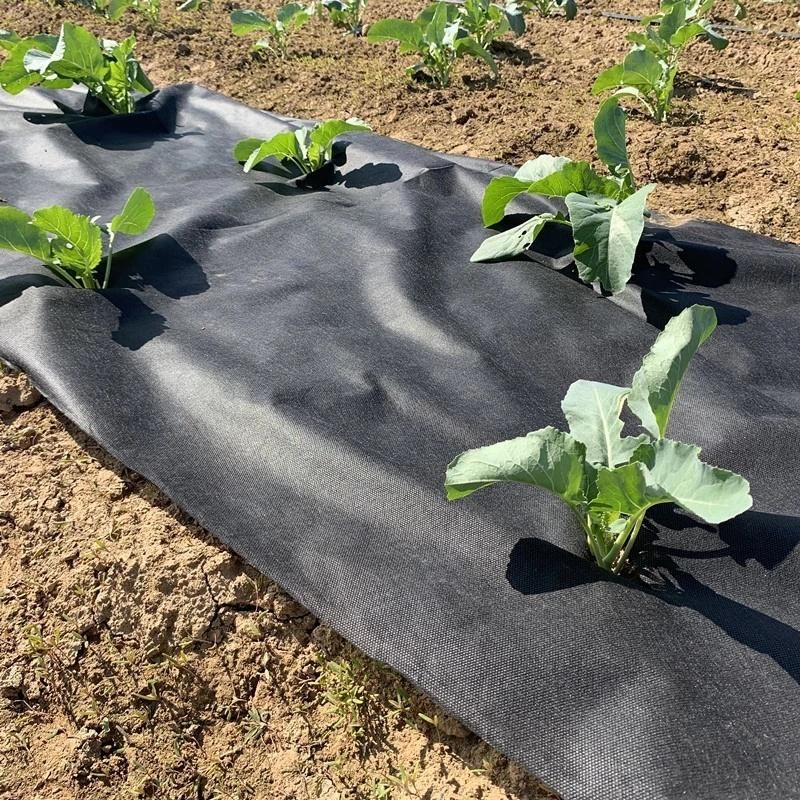 Agriculture Gardening Weed Mat PP Nonwoven Weed Control Mat