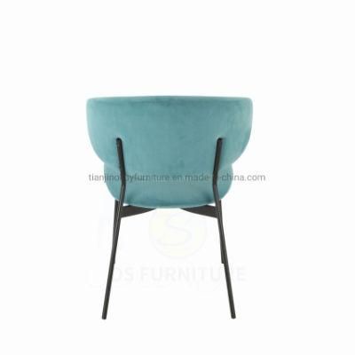 Modern Dining Chairrestaurant Chairdining Room Chairs