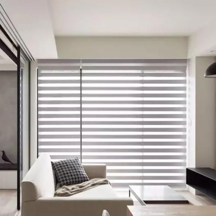 Zebra Roller Blinds with Dual Layers Sheer Window Shades