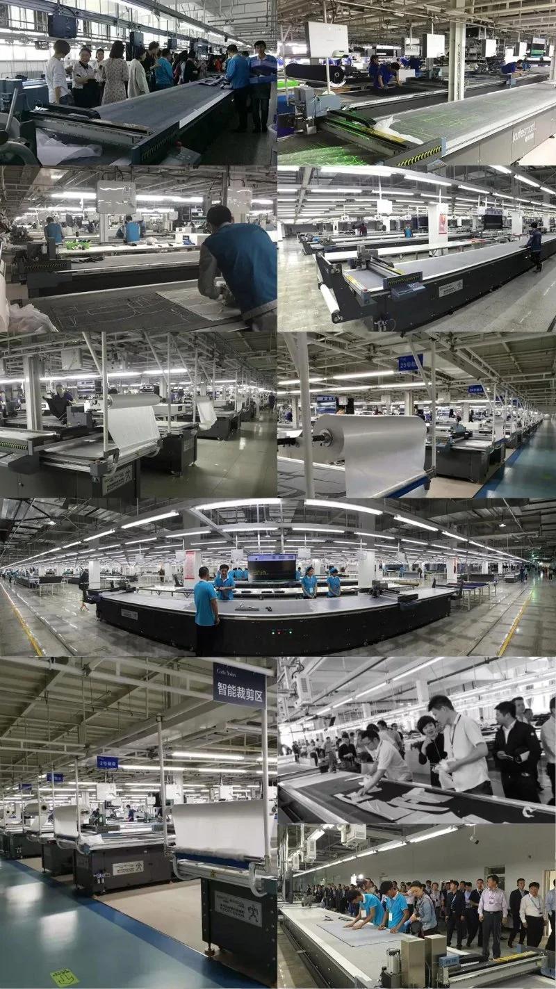 Ruizhou Automatic Feeding Plaid and Checks Fabric Garment Apparel Cutting Machine