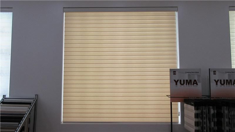 Home Decorative Custom Made Fabric Chain Roller Window Double Blinds