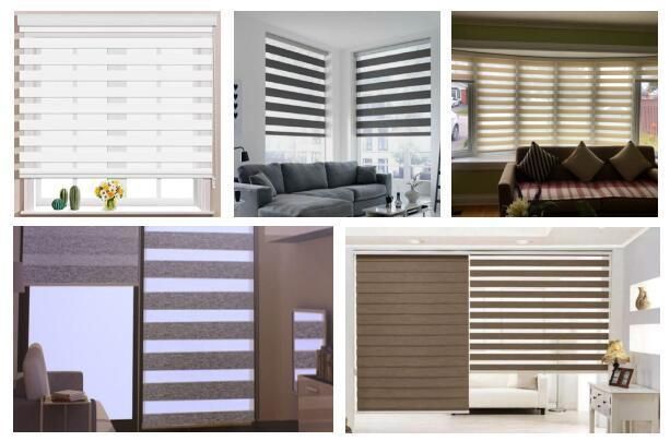 Office Sunscreen Fashion Zebra Blind Day and Night Roller Blind