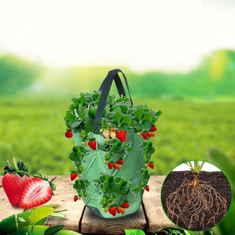 Strawberry Grow Bag DIY Jardinage Potager Strawberry Planter PE Fabrics Vegetable Garden Pots Planters Garden Bag Planting Tool