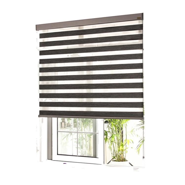 Window Blind Dual Layer Zebra Roller Light Filtering Sheer Shades Window Treatments Privacy Light Control for Day and Night