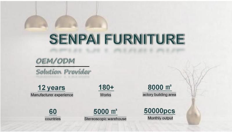 Modern Minimalist Light Luxury Nordic Style Living Room Furniture Italian Dining Chair