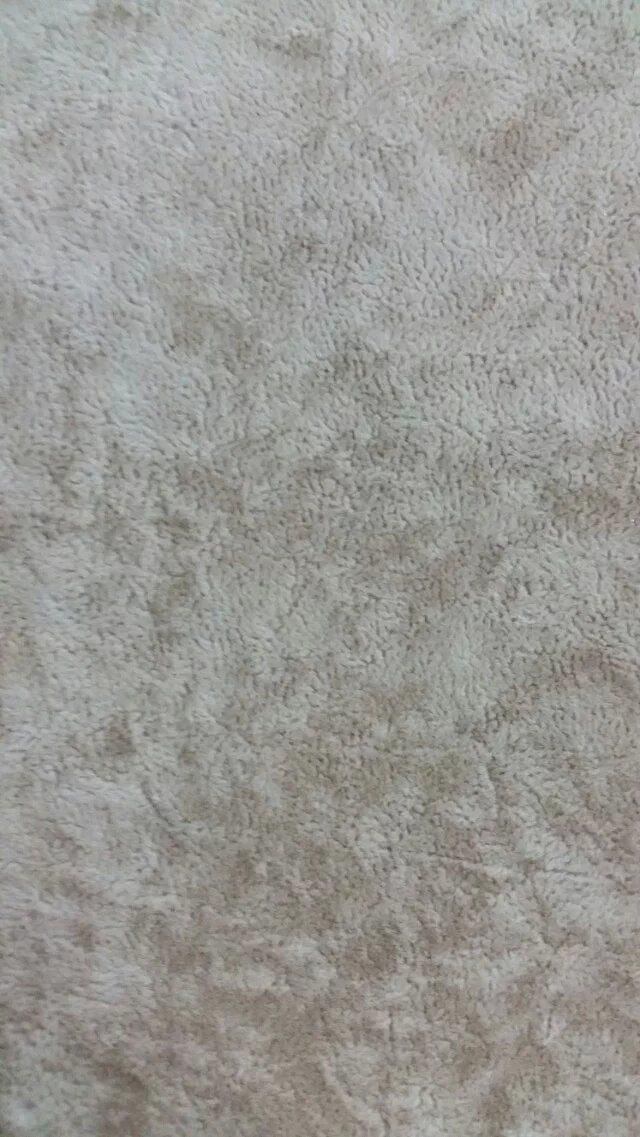 Single Flocked Fabric for Sofa (J022)