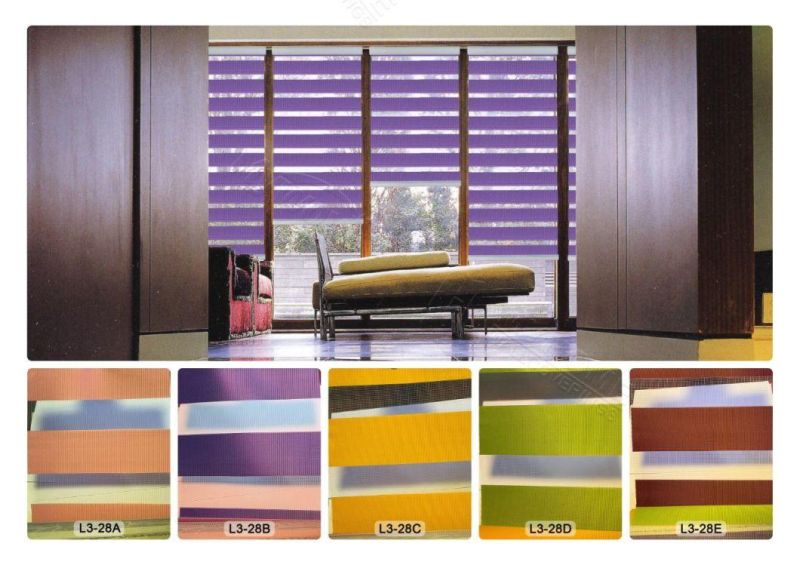 Factory Offer Double Layer Day and Night Window Zebra Blinds Fabric Roller Shade
