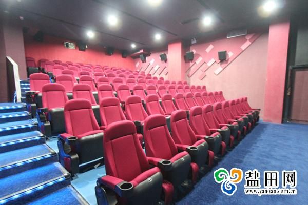 Push Back Media Room 2D/3D VIP Theater Movie Auditorium Cinema Sofa