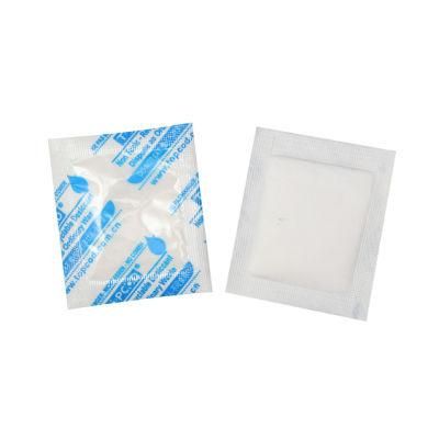2g Single Packet Moisture Absorber Mgcl2 Magnesium Chloride Desiccant for Electric Appliances