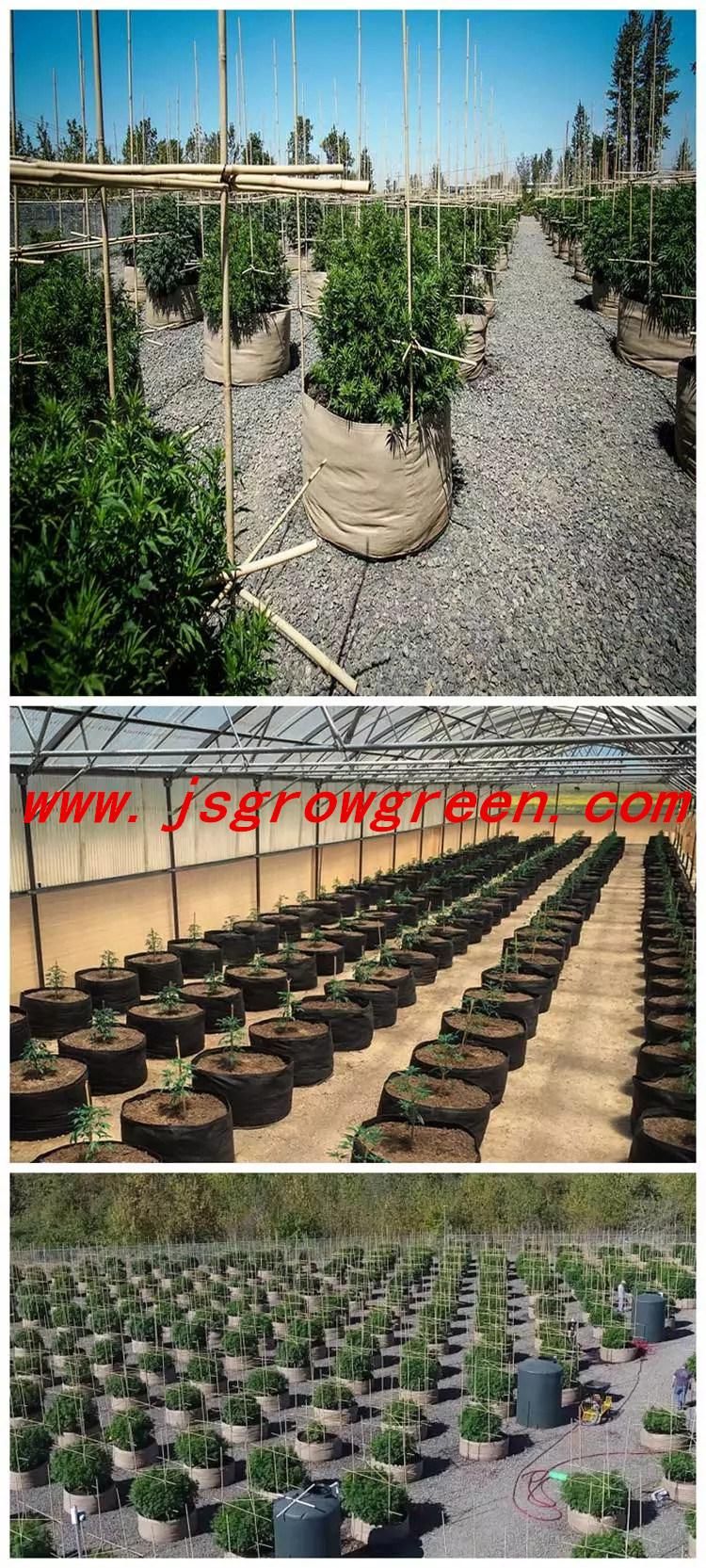 Grow-Green Grow Bags, Raised Garden Bed|Plant Containers|Fabric Pots|Planter Bag From