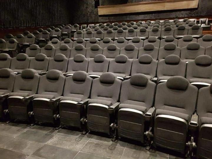 Japan Customized Home Opera Cinema Theater Chair