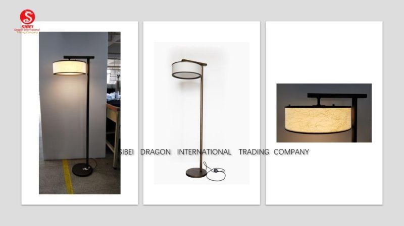 702 Floor Modern Home Decoration Lamp/ Customized Lamp/ Decorative Lamp/ Hotel Lamp