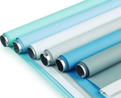 Plain Color Sunlight Filtering Roller Blind and Curtain