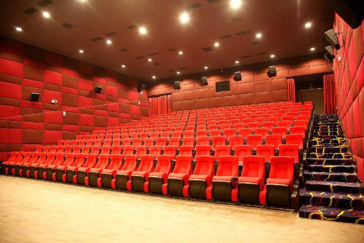 College Public Training Church Stadium Auditoium Cinema Movie Theatre Seating